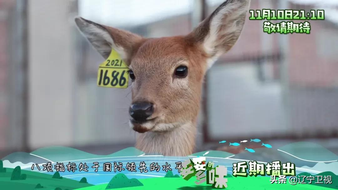 雪天吃东西,雪天吃的食物