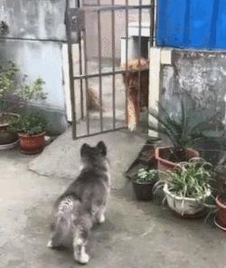 亲身经历血泪教训,如何知道一个剧本杀店是否靠谱