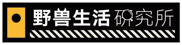 糖尿病人可以吃的几种糖,糖尿病4种人不能吃降糖药