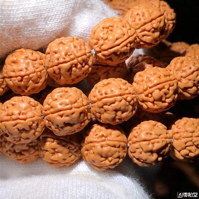 文玩小金刚菩提怎么选购,骨灰级金刚如何挑选