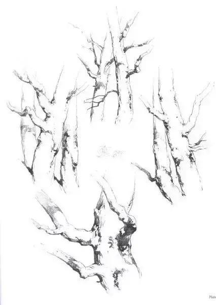 不会画风景咋办,不会画速写怎么办