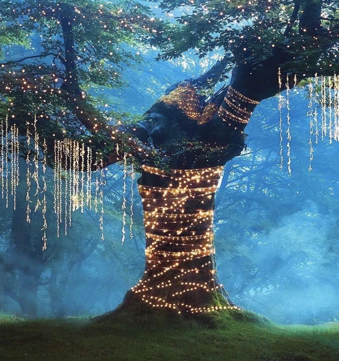 艺术摄影修图,艺术拍照修图