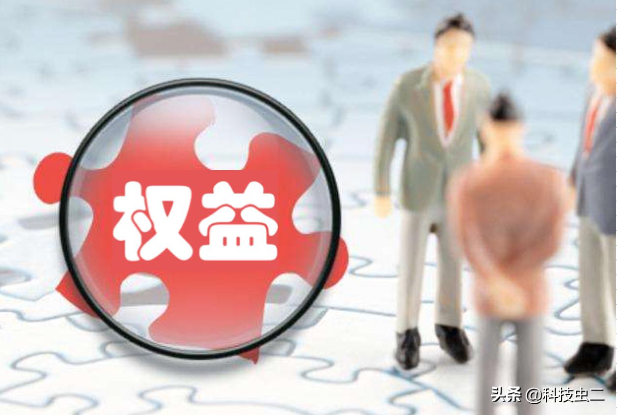 宠用户者得天下！细数2019会员权益哪家强