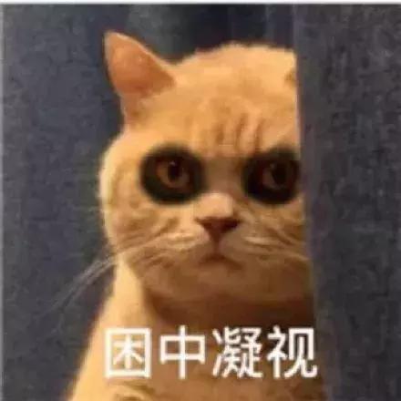 医生有点皮,医生很皮