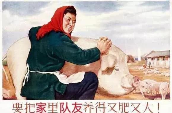 快过年了，别得罪任何一个有娃的中年妇女