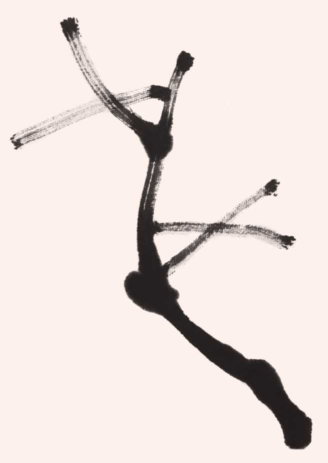 国画梅花花树的画法简单视频,写意花鸟画梅花的画法视频