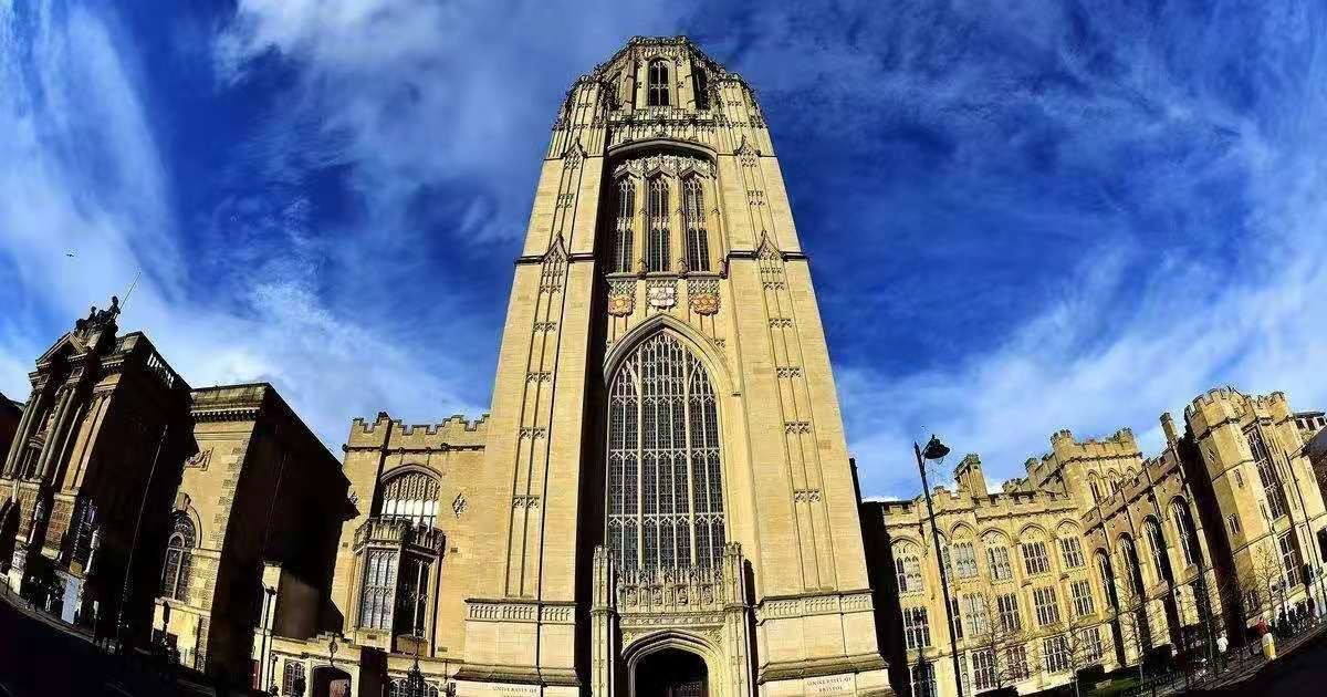 英国留学商学类专业排名,英国留学十大最吃香的专业推荐