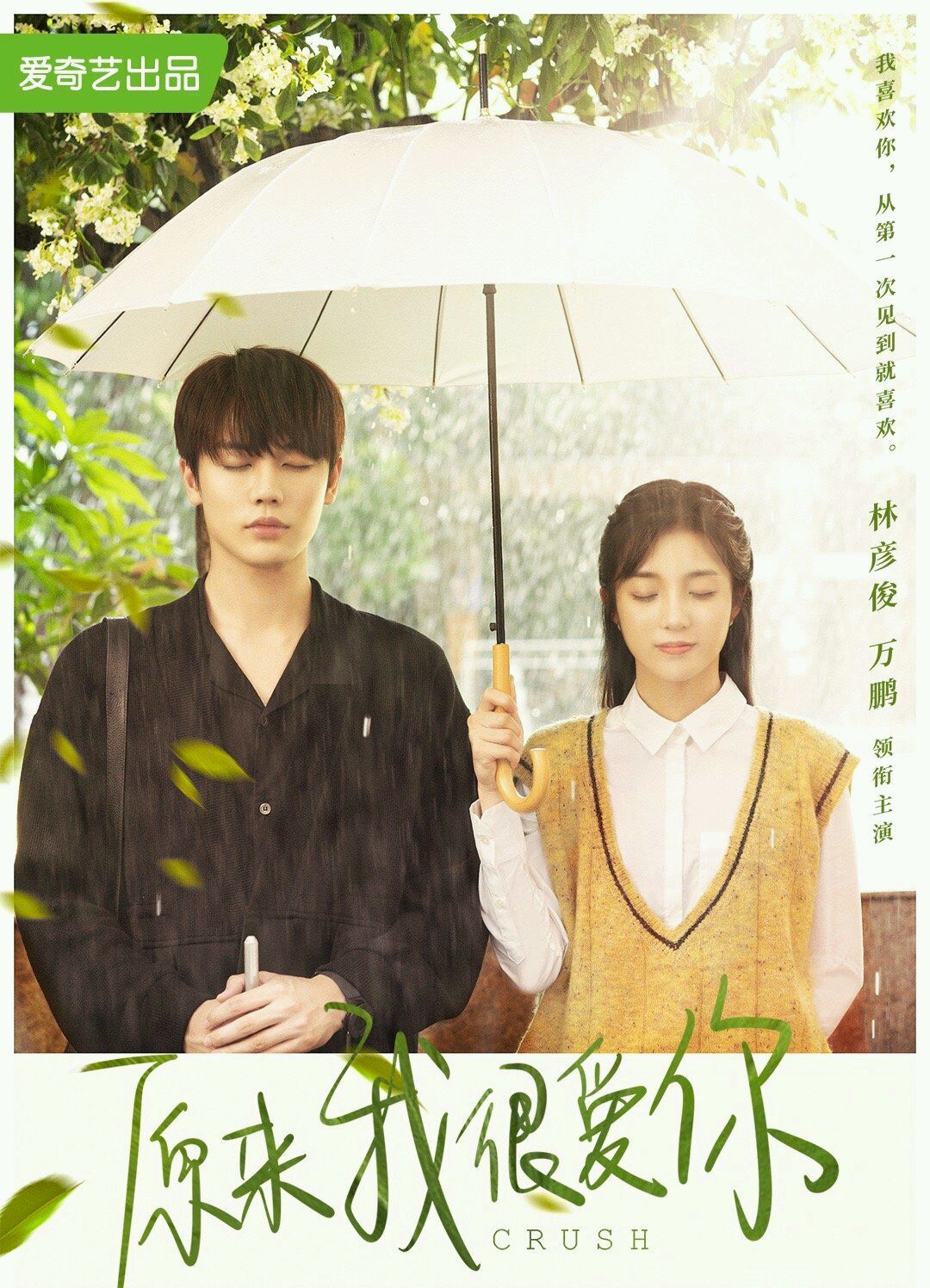 木浮生三部曲,木浮生三部曲电视剧