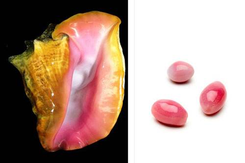 孔克珠是不是珍珠,孔克珠珍稀品种