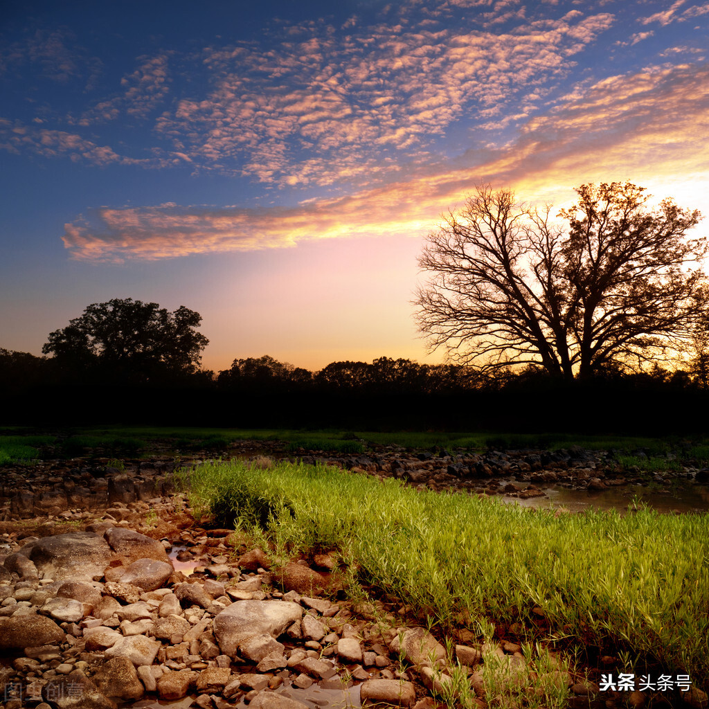 油桐花开时,四月又到油桐花开时