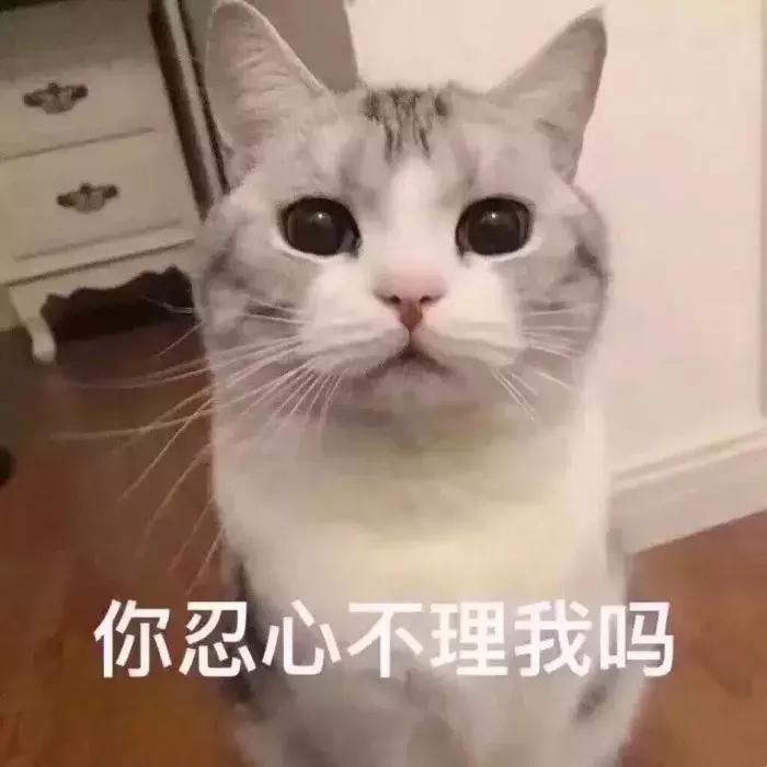 刚入坑jk该注意哪些,jk制服正版和盗版有什么区别吗