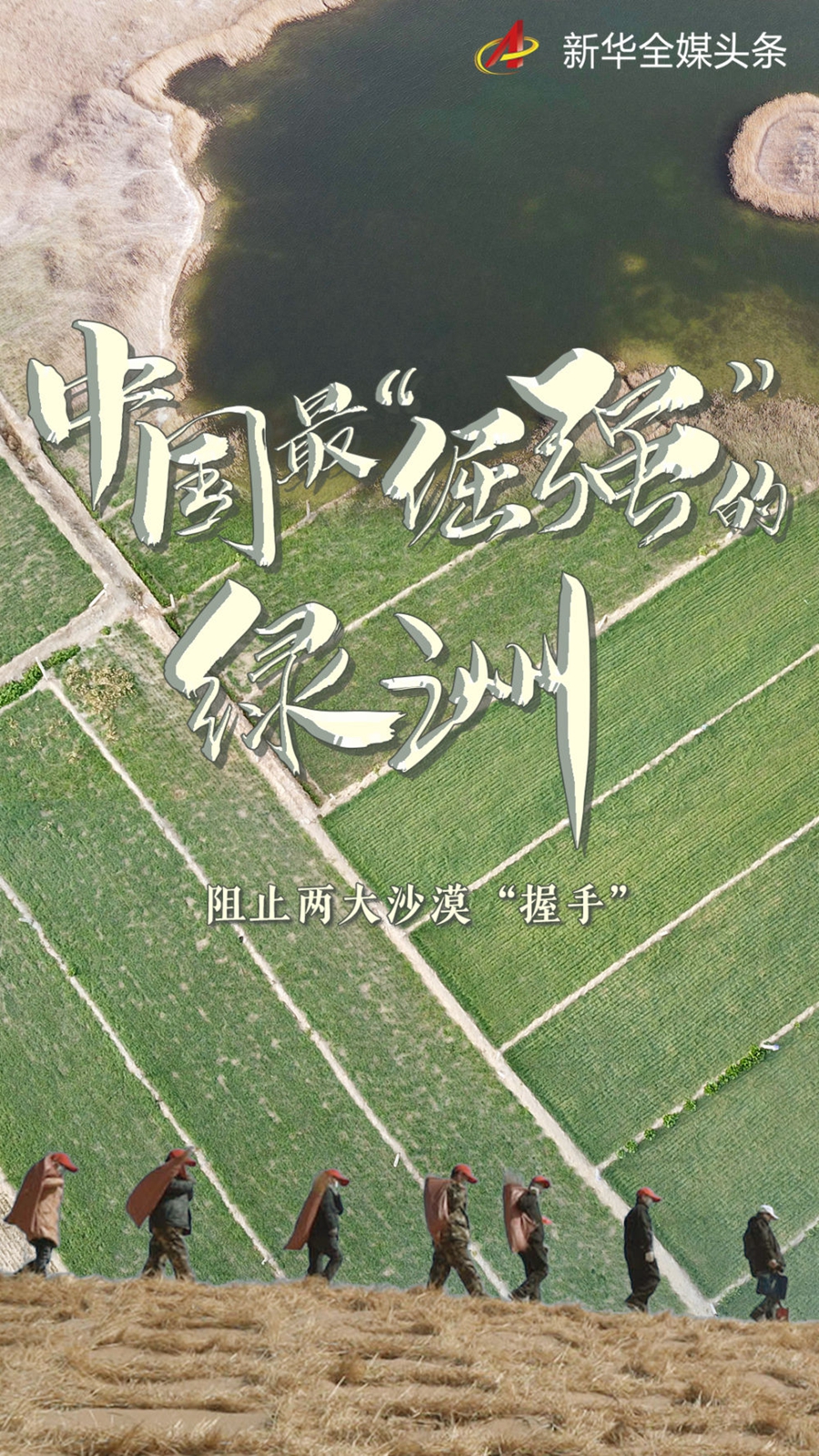 与沙漠掰了70年手段，这块绿洲如此“倔强”