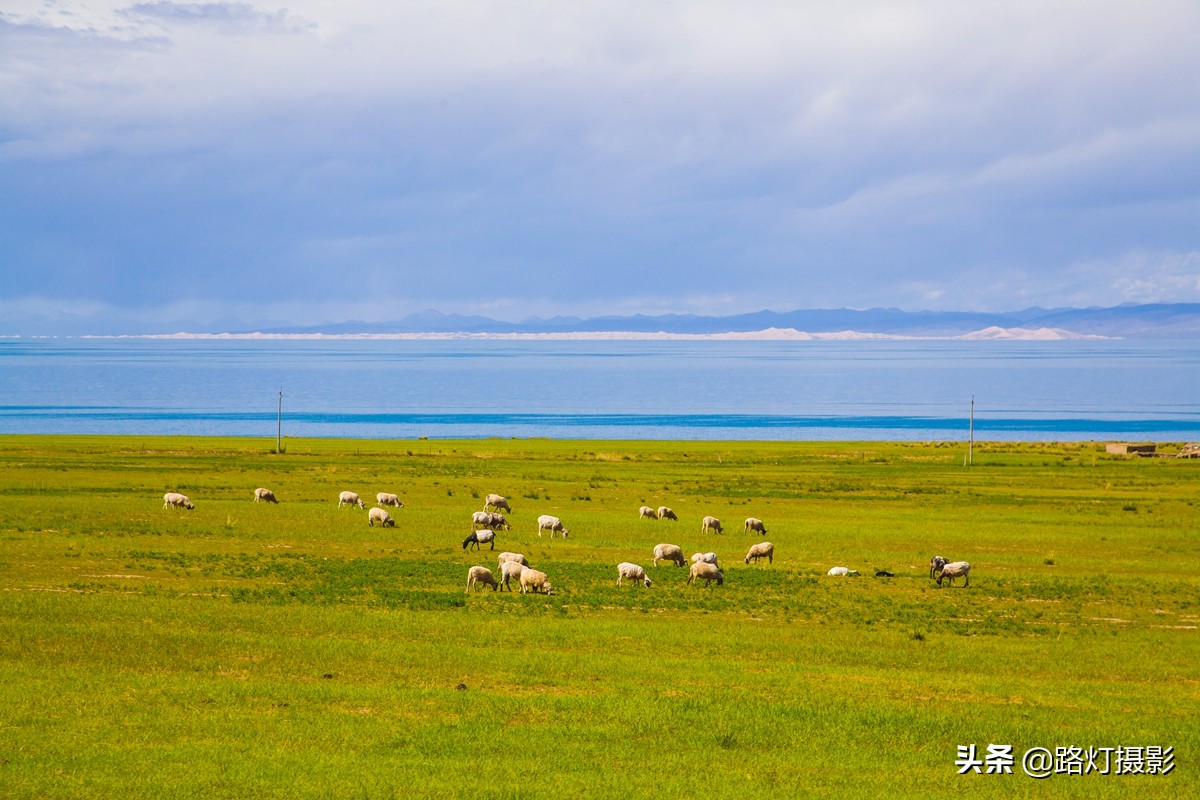中国最美油菜花赏花地图,中国最美油菜花打卡地方