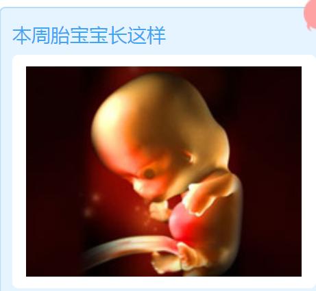孕早期胎教计划,怀孕7至8周怎样胎教最有用