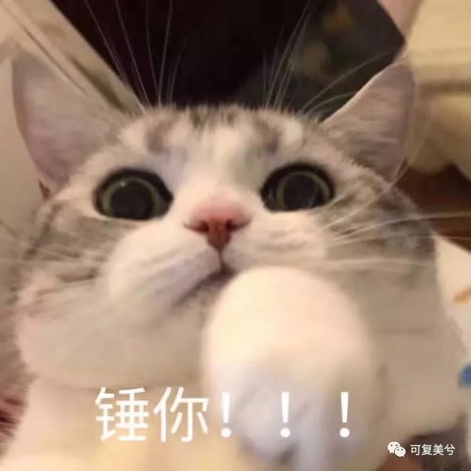 美莱整形医院全攻略,整形医生的618拔草清单