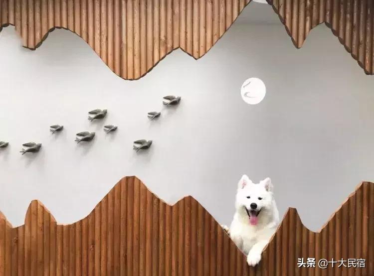 国内性价比高的温泉民宿推荐,江浙温泉民宿有雪景