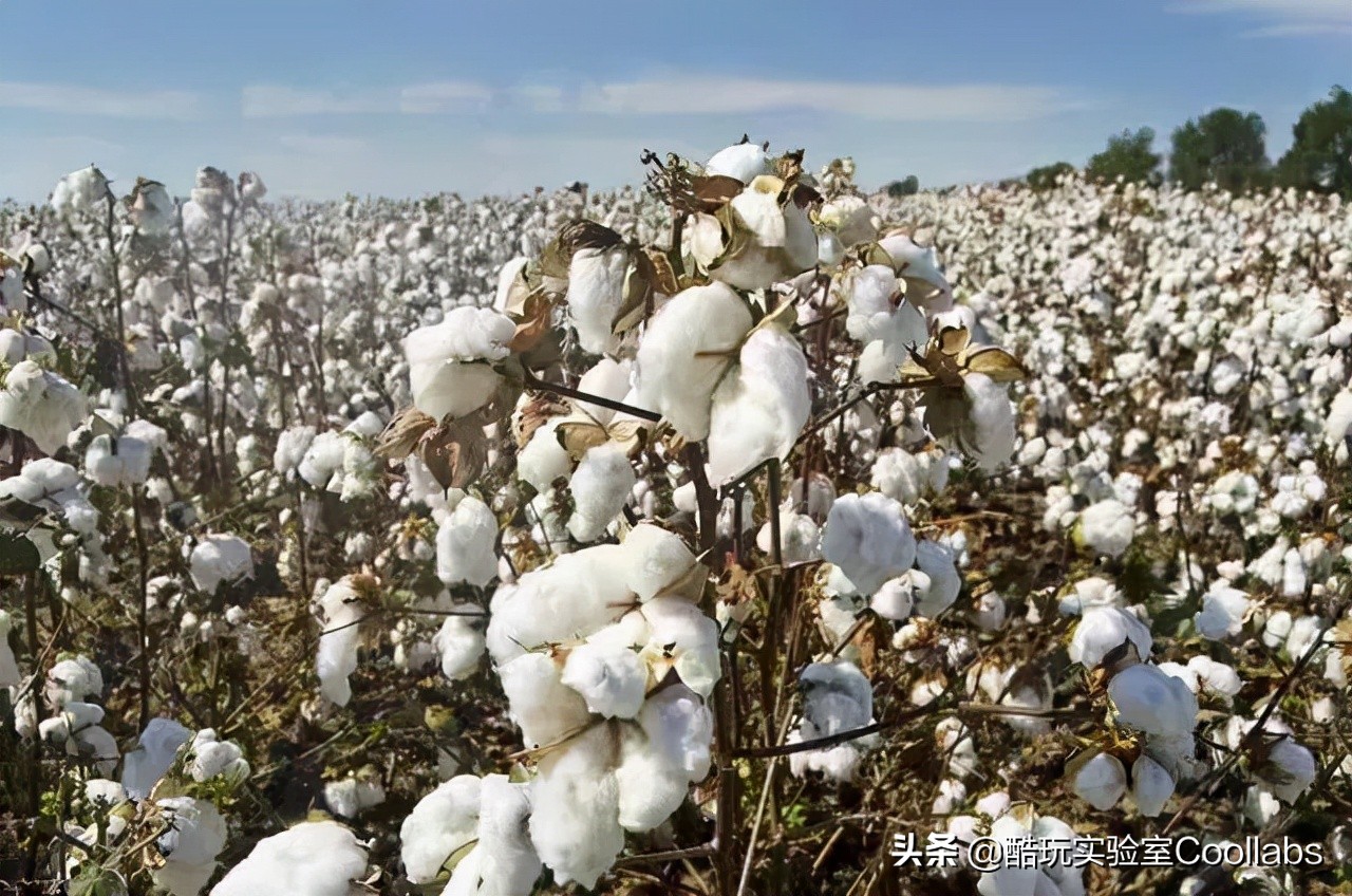 顶级镶钻手表爱彼,顶级手表爱彼