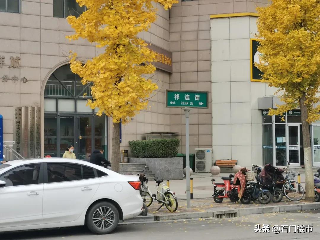 近30天逾350人看房！洋味足却有bug！中介说：采光不太好