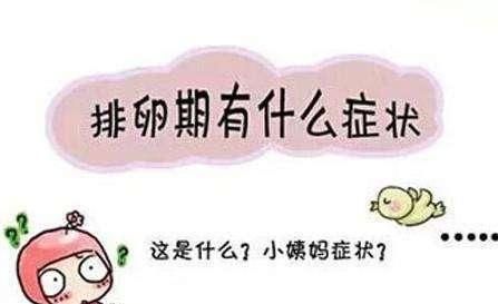 排卵期会感觉到胎动吗,排卵期会出现淡淡的血吗