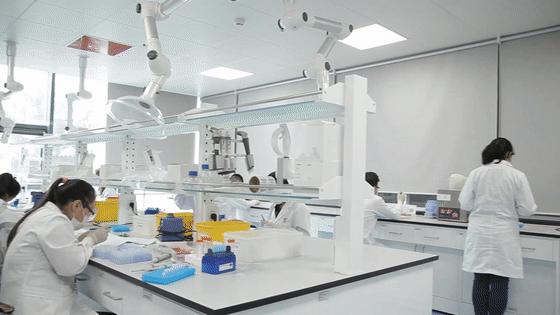 苏州日报头条今日最新,太仓时政要闻