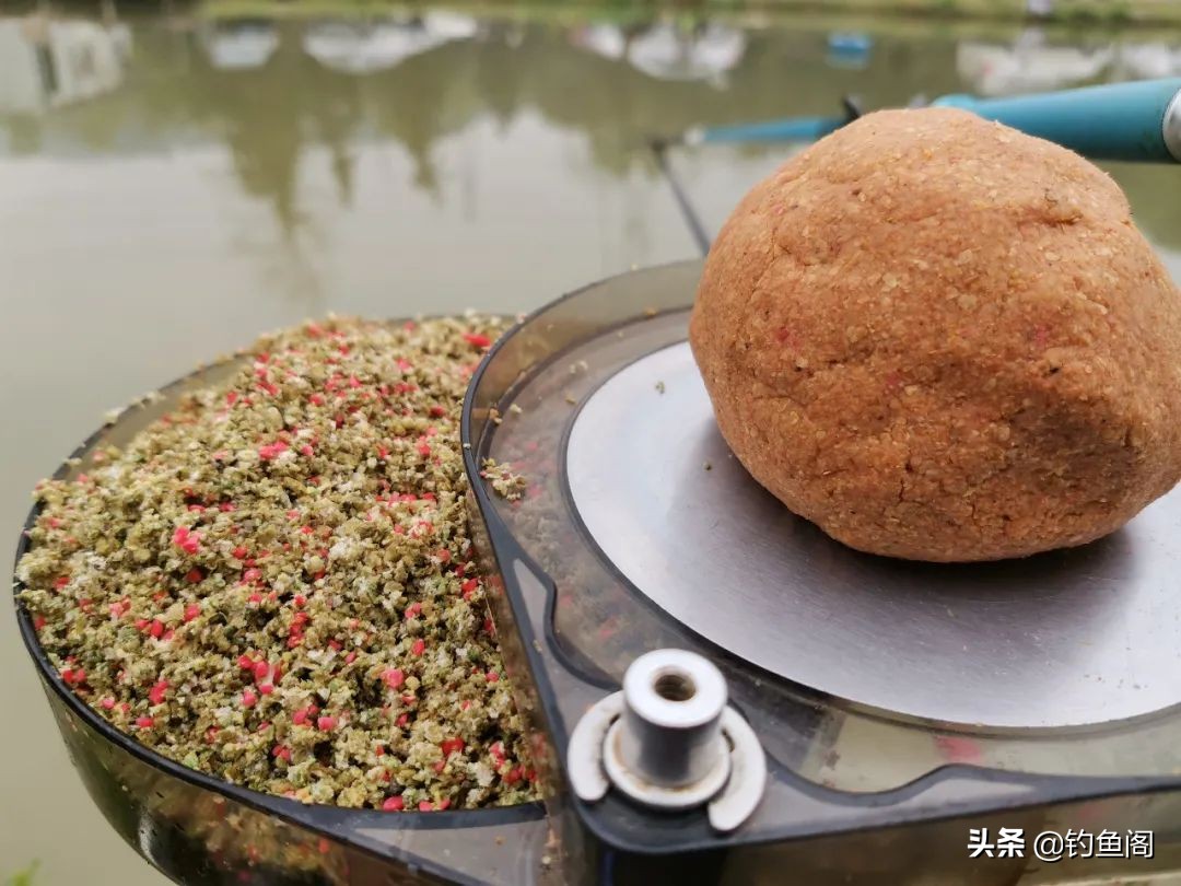 钓太阳鱼怎么选钓位视频,钓太阳鱼怎么选地方钓最好