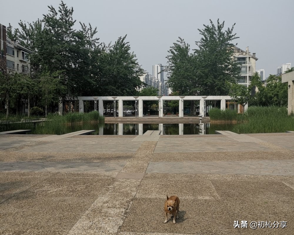 2013年临沂香榭丽舍房价,香榭丽舍临沂房价多少