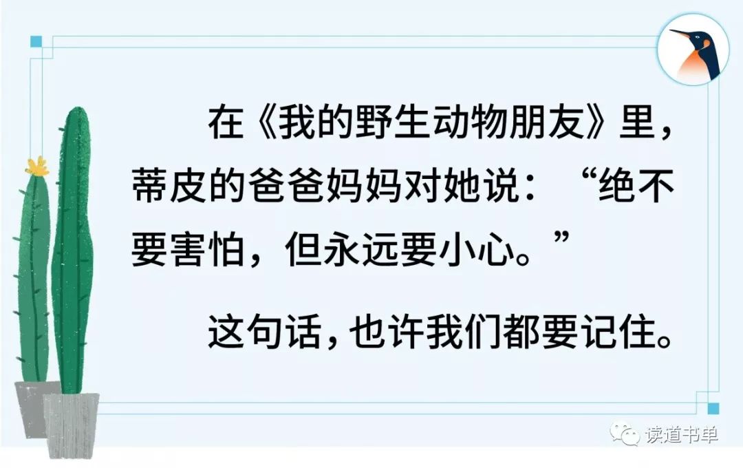 野生动物的感人瞬间,你看过野生动物悲伤的眼睛吗