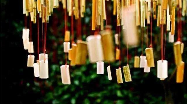 一位老教师的半个世纪心路历程——《杨玲日记》值得一读｜常云龙