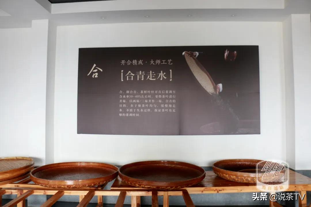 福鼎白茶还有“十不采”规定？让我们去河山有机茶园一探究竟