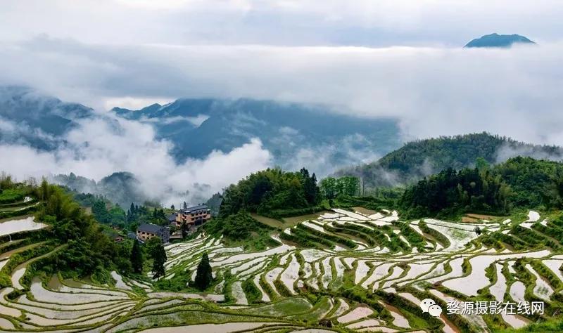 中国山水画摇篮,楠溪江为什么叫山水画摇篮