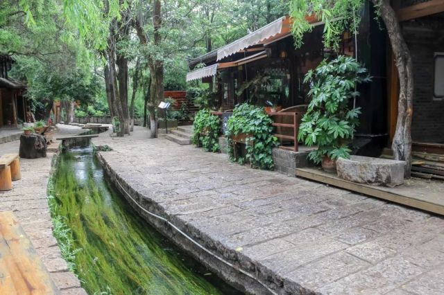 什么是云南品种,什么是云南的特色