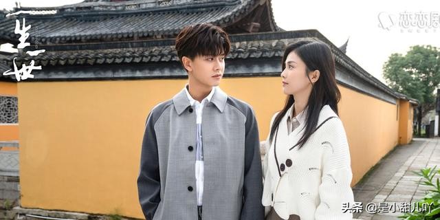 一生一世的评价,一生一世电视剧的深度解析