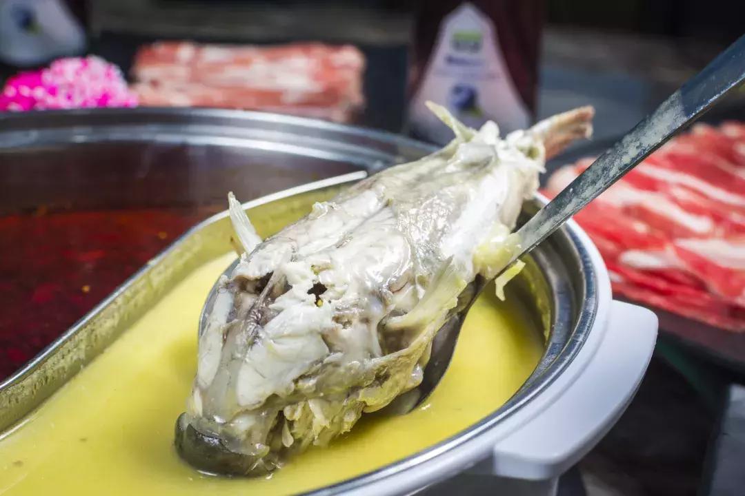 日式河豚火锅,青岛吃河豚火锅