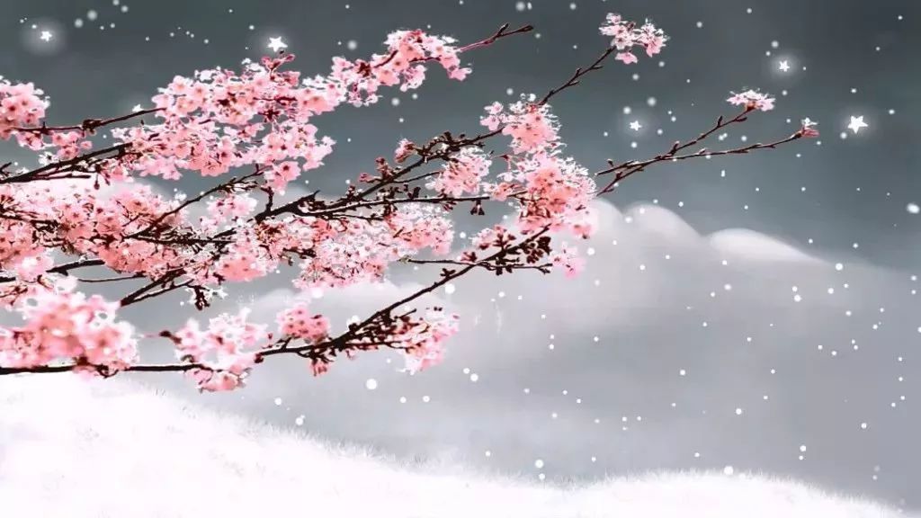 有你即心安的图片,有你即心安