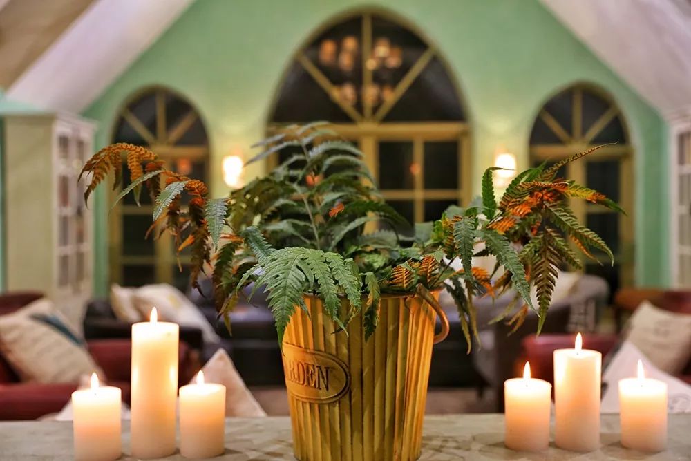 被称为中国小瑞士的地方,号称国内小瑞士