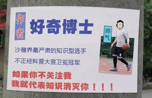 科学研究表明撸猫好处多多,撸猫已经成为了一种“病”
