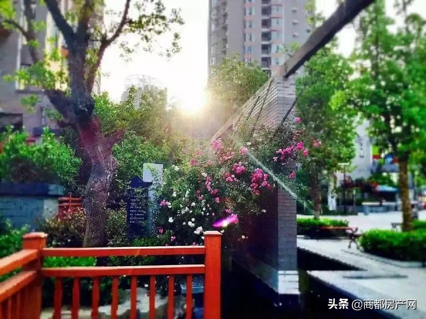 看过“上街北龙湖”，才能理解什么是“亚星的上街”