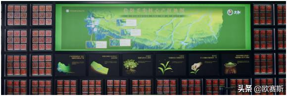 白茶市场深度分析及品牌战略思考（二）