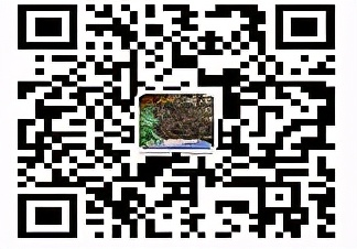 昌南新区最新招聘会,昌南新区最新招聘会2024