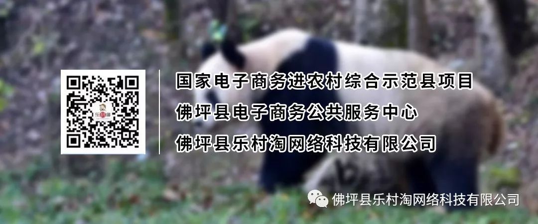 社区团购运营模式的优点和缺点,社区团购的玩法逻辑