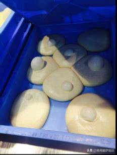 披萨学习技术要点,学习披萨需要掌握哪些重点