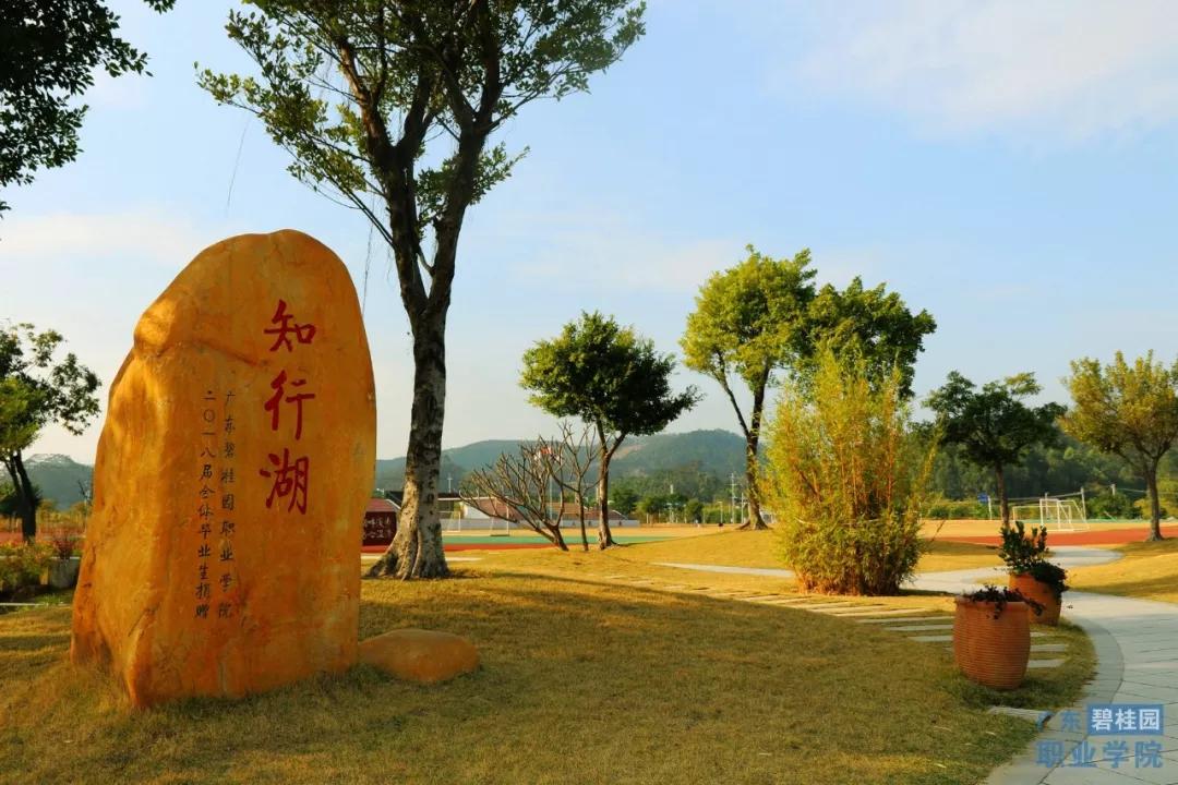 大专生毕业失业很迷茫怎么办,大专毕业生就业优惠政策