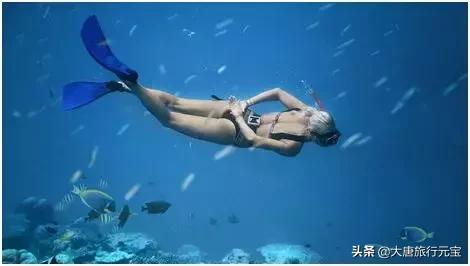 马尔代夫私人岛屿优惠,马尔代夫便宜的岛屿攻略