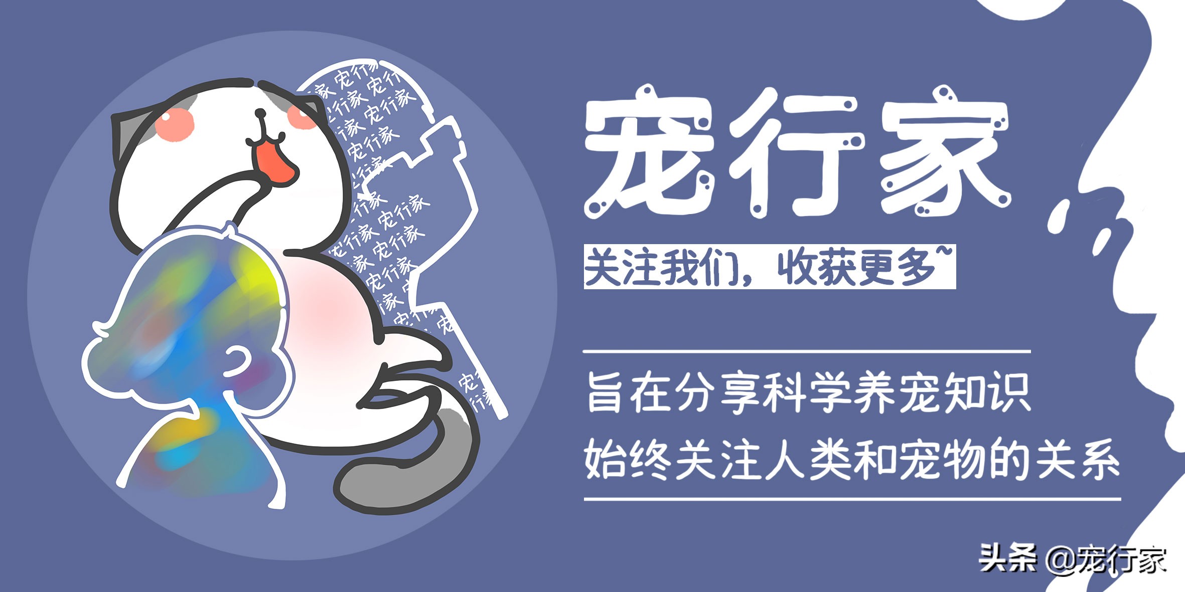 猫咪为什么老是放屁还很臭,猫咪老是放屁而且很臭怎么回事