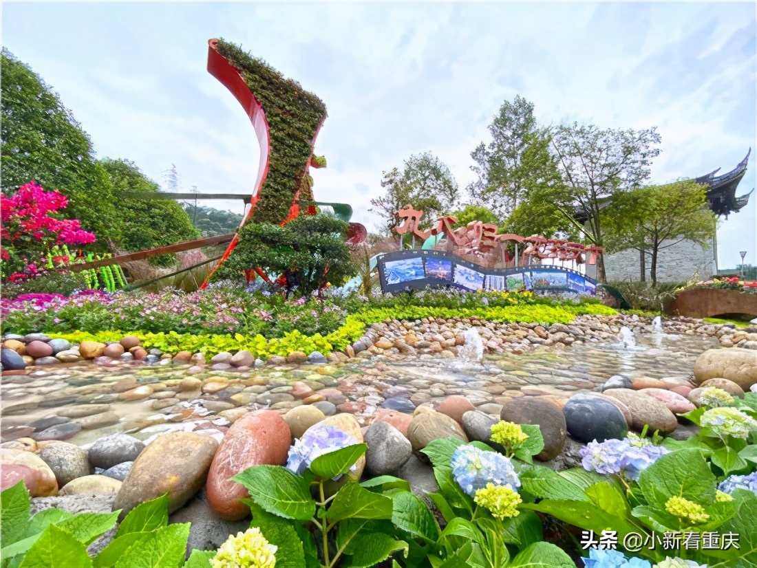 重庆悦来生态新城,悦来新城重庆