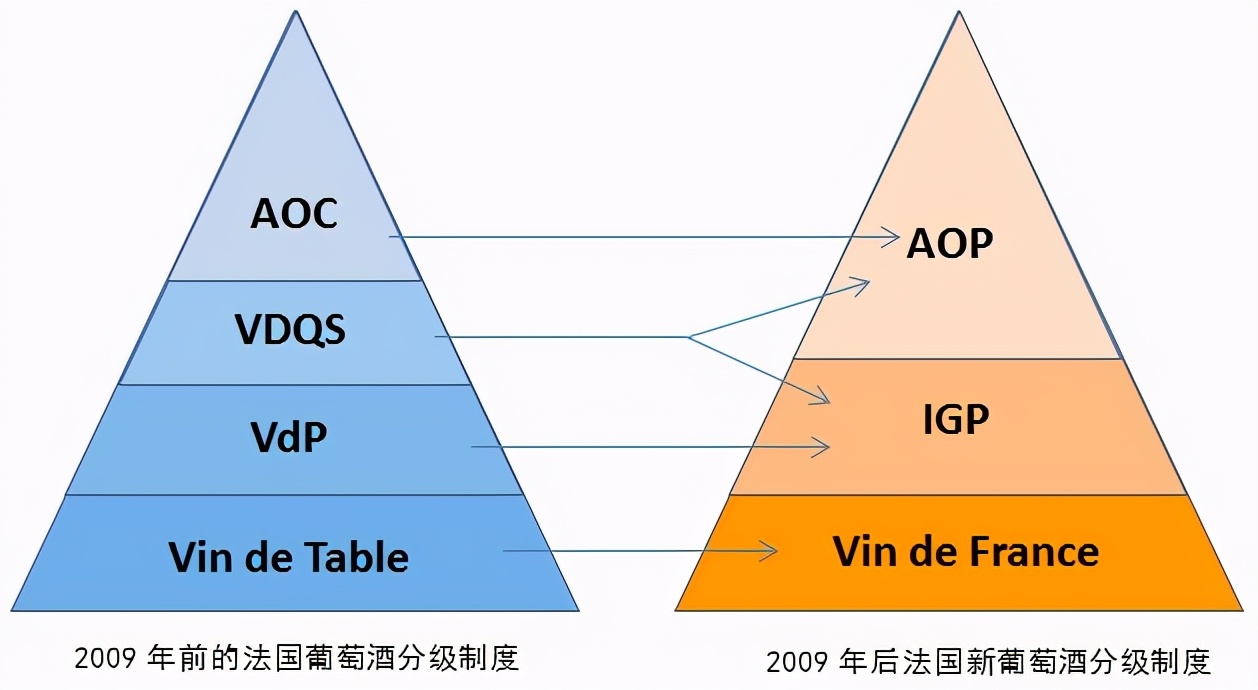 奇怪的知识增加了什么梗,葡萄酒的缩写
