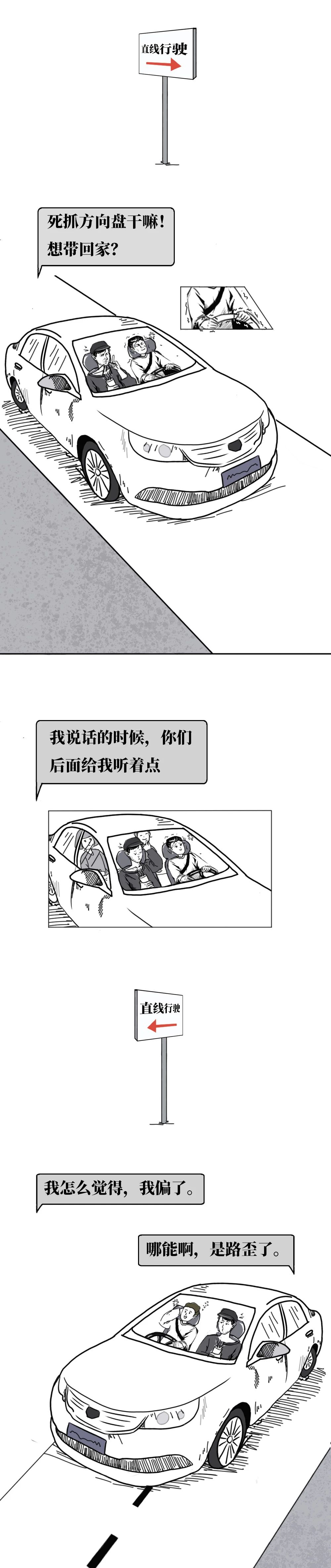 驾照本2016,驾照本大全