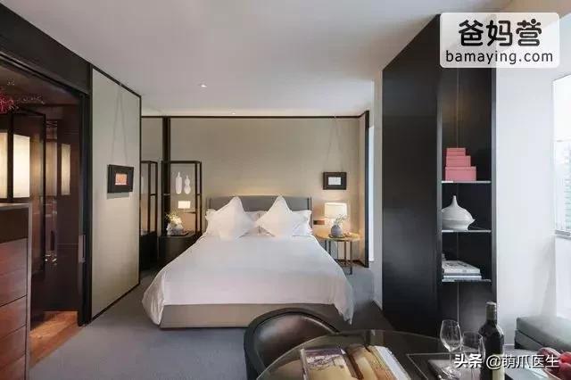 带宠物住宿酒店,带宠旅行酒店