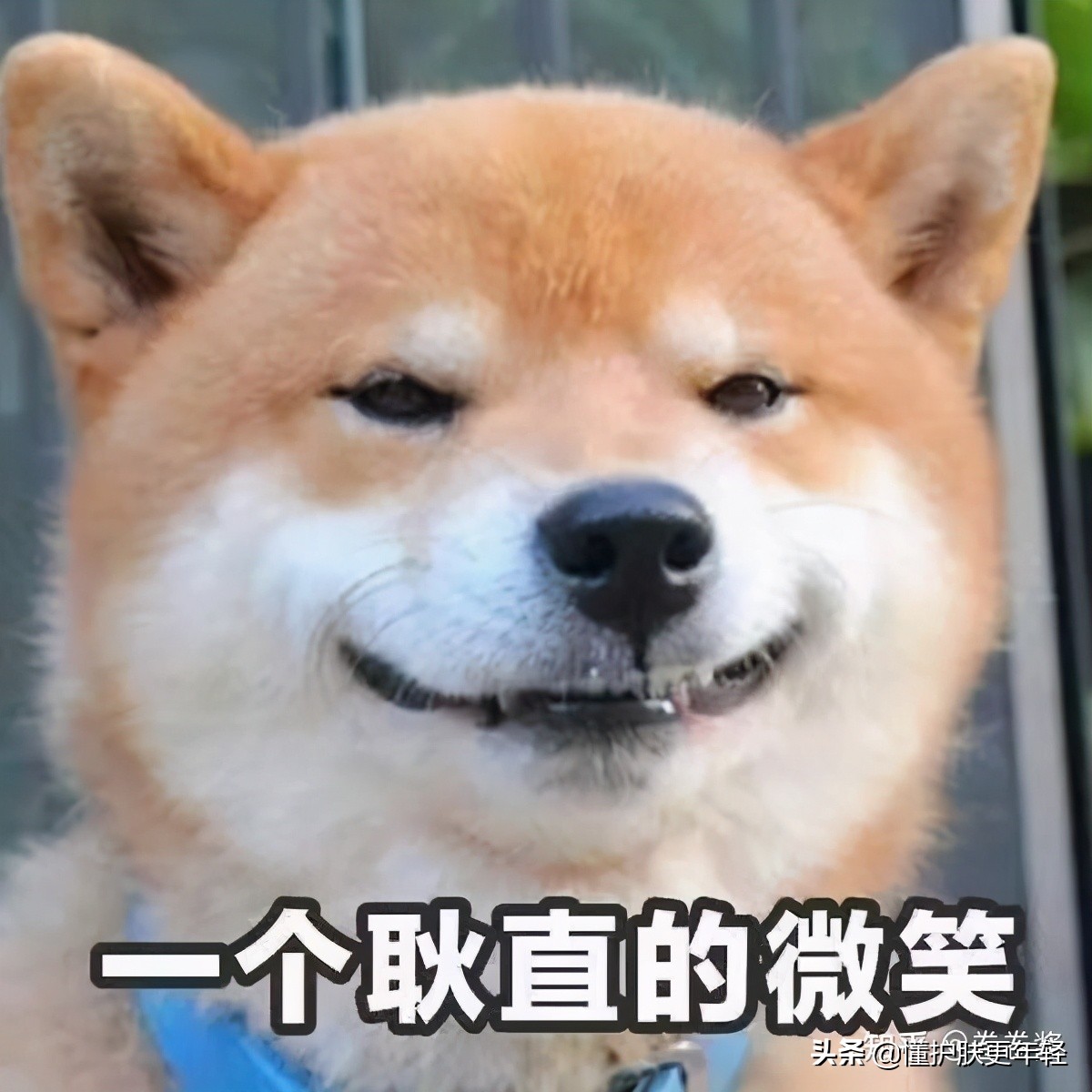 能快速美白的产品推荐,见效最快的美白护肤品有副作用吗