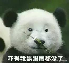 “2019年，我朋友圈的代购都疯了哈哈哈哈哈哈哈”